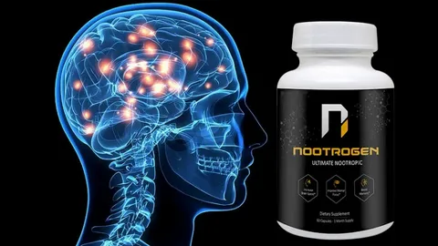 How to Enhance Learning with Nootropics